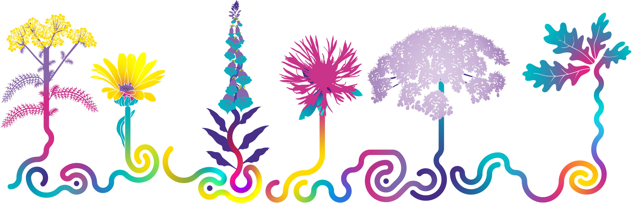 illustration for Wildlife at the Western projwect